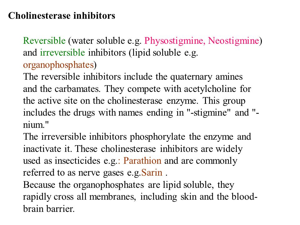 Cholinergic system and cholinesterase inhibitors